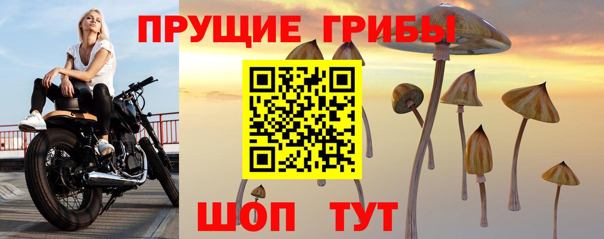 Псилоцибиновые грибы GOLDEN TEACHER Великие Луки
